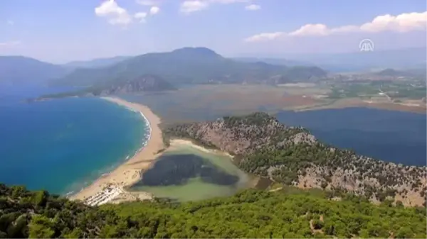 Caretta caretta plajının işletmesi belediyeye emanet