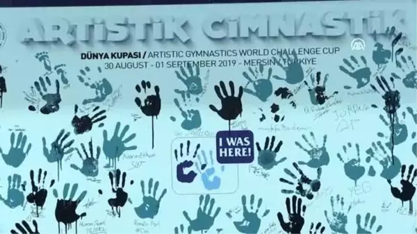 Artistik Cimnastik Dünya Kupası