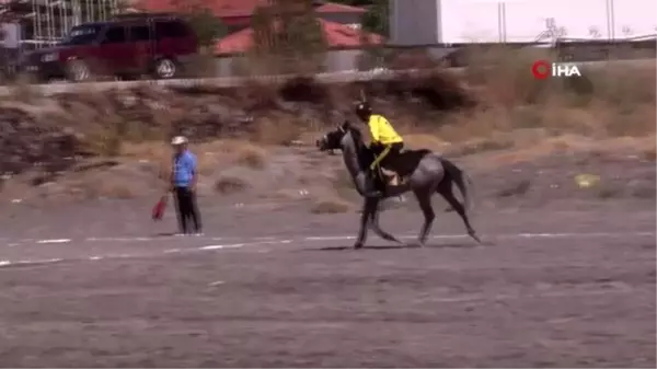 Erzincan'daki atlı cirit müsabakaları nefes kesti