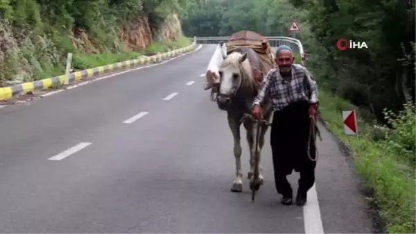 60 yıldır at üstünde elma satıyor