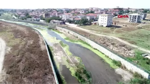 Kırklareli'de deredeki balık ölümlerine inceleme