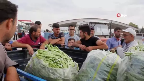 Fasulye fiyatları üreticinin yüzünü güldürüyor