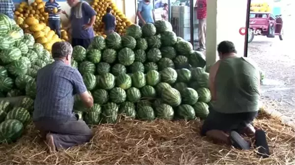 Domates 50, karpuz 20 kuruşa düştü