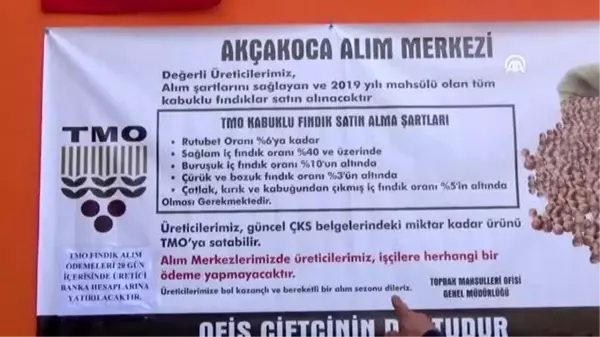 Fındık üreticileri TMO'dan memnun