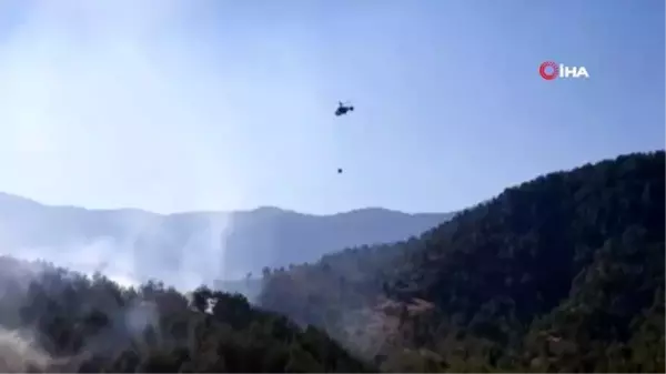 Hatay'da çıkan orman yangını kontrol altına alındı