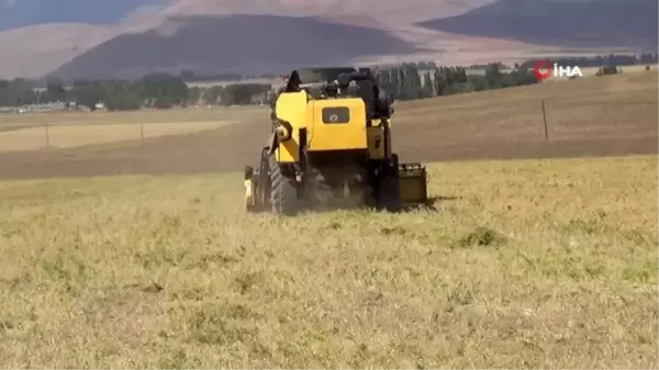 Bakliyat üreticisinin yüzü gülüyor