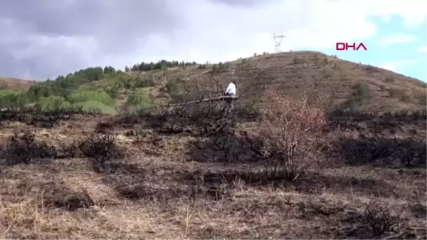 Erzincan erzincanlı prof. orman yangınlarına ilginç bir eylemle dikkat çekti