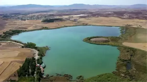 Hafik Gölü turizme kazandırılacak