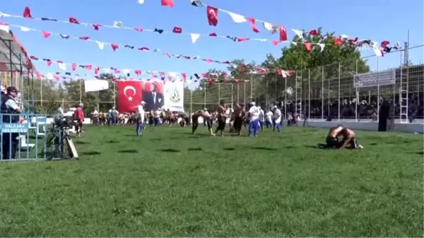 Malkara Yağlı Güreşleri'nin başpehlivanı Serhat Gökmen oldu