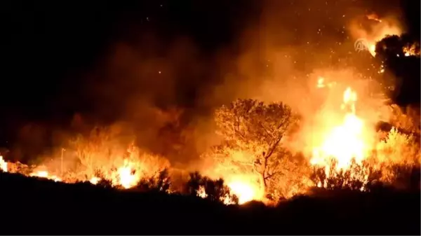 Bodrum'da makilik alanda yangın