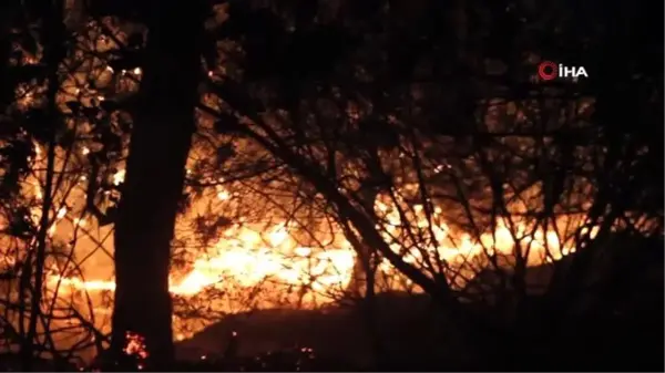 Hatay'da 25 farklı noktada orman yangını...Alevler Hatay semalarını aydınlattı