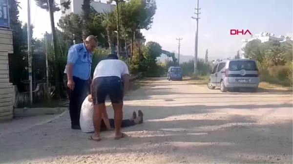 Mersin ağaçların aşırı budanmasına tepki