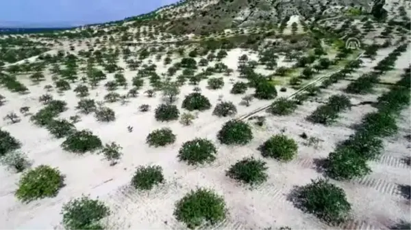 Gaziantep'ten Çin'e 