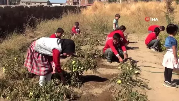 Ahlatlı öğrencilerden örnek davranış