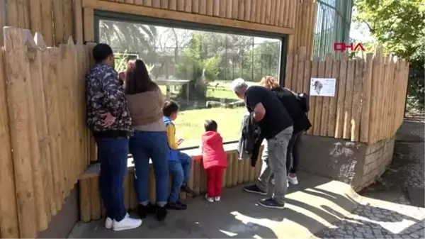 Kocaeli hayvanat bahçesinde kış hazırlıkları başladı