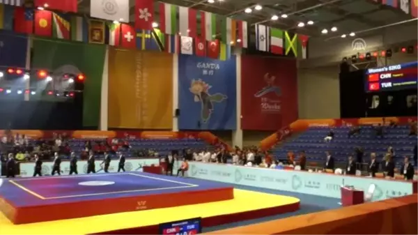 15. Dünya Wushu Şampiyonası