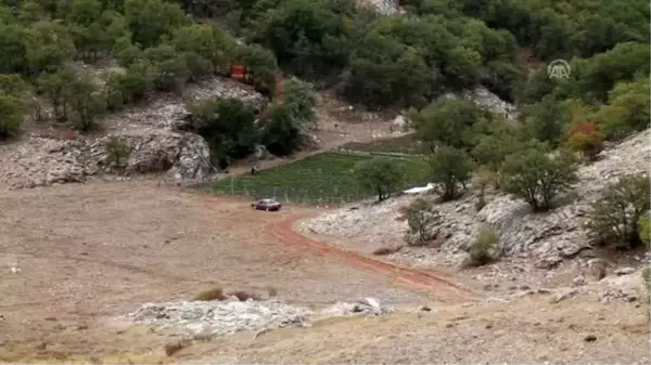 Zedelemeden çilek toplamak için sistem geliştirdi