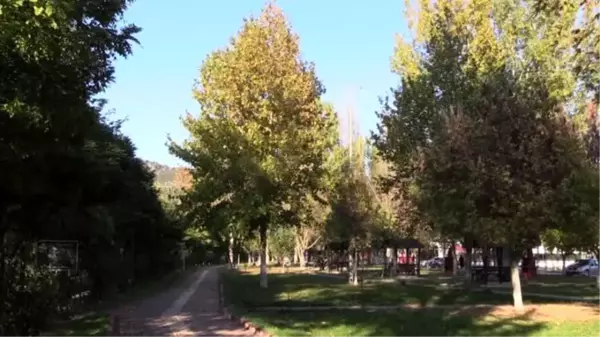 Sakarya Nehri sonbaharda büyülüyor