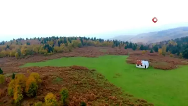 Karadeniz ormanları rengarenk