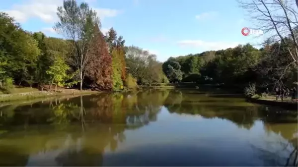 Atatürk Arboretumu'nda sonbahar manzaraları