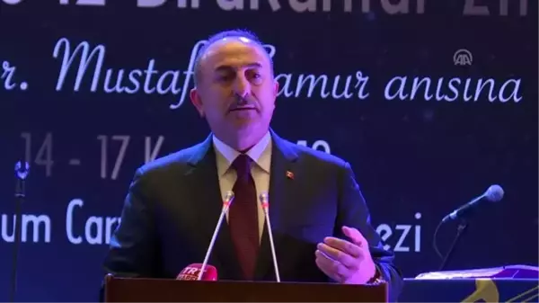 Çavuşoğlu: 