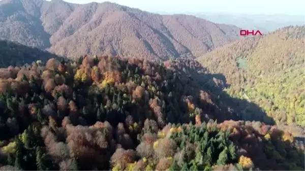 Batı karadeniz'in keşfedilmeyi bekleyen şirin beldesi gümeli'de sonbahar güzelliği