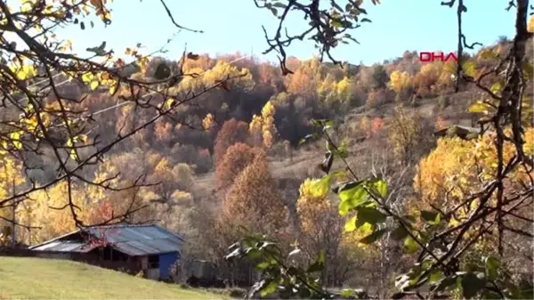 Karadeniz'de havalar soğudu, köyler sessizliğe büründü