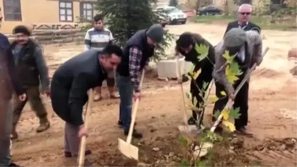 Sanatçıların köyünde, Yıldız Kenter için çınar fidanı dikildi - KONYA