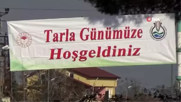 Tarla gününde 'yerli ve milli lahana' çeşitleri tanıtıldı