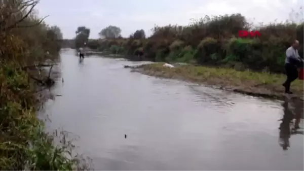 Manisa gediz nehri'nde toplu balık ölümleri