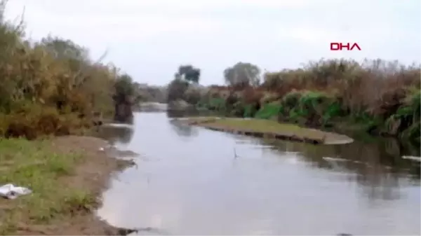 Gediz nehri'ndeki balık ölümleri araştırılıyor