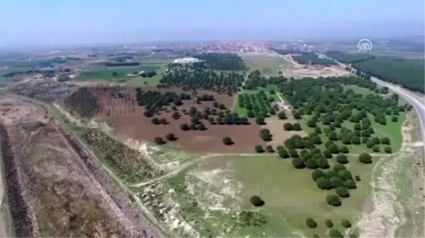 Ayvalık Gıda İhtisas OSB'nin kurulacağı arazinin tahsisi yapıldı