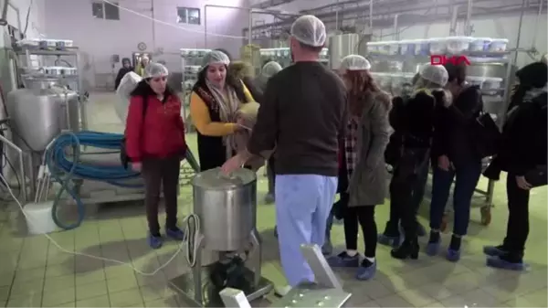 Hakkari kadın girişimciler yüksekova'da işletmeleri gezdi