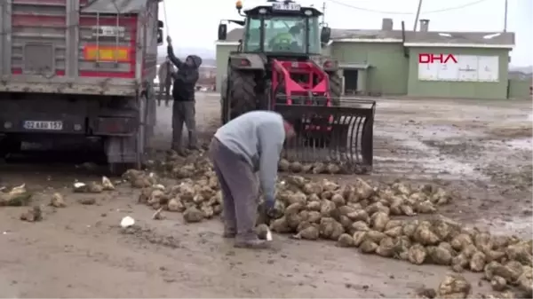 Sivas'ta soğuk havada pancar mesaisi