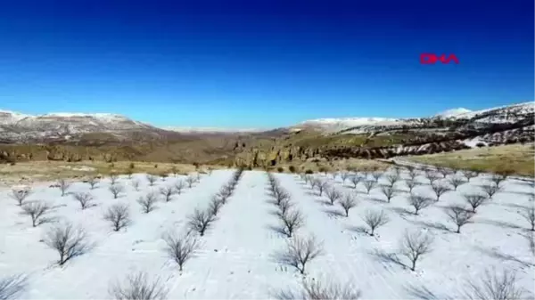 Malatya fotoğraf tutkunları beyaza bürünen kayısı bahçelerine akın etti -