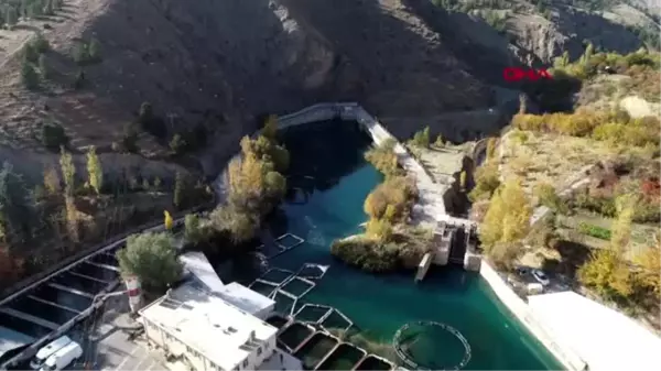 Elazığ'ın balıkları dünya pazarında -