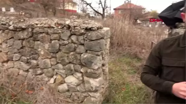 Bolu yunus emre'nin mezarının bolu'da olduğu iddiası