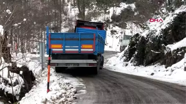 Ordu'da araçlar, buz tutan yolda kaldı, gölet dondu