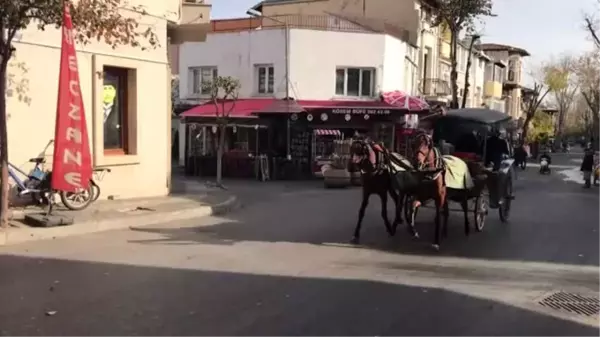 Adalar'da ruam hastalığına yakalanan atların itlaf edilmesi