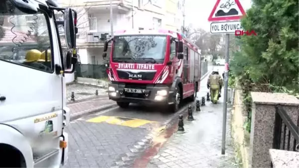 Kadıköy'de ağaç otomobilin üstüne devrildi