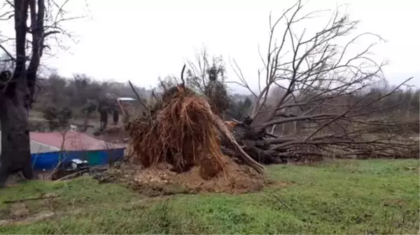 Silivri'de fırtına ve yağış