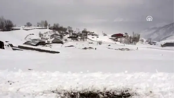 Besiciler, hayvanlarını sırtlarında taşıdıkları otlarla besliyor