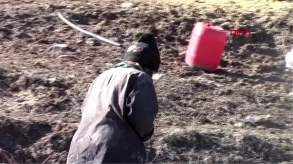 Elazığ 10 günde 600 koyununu kaybeden besici yardım bekliyor