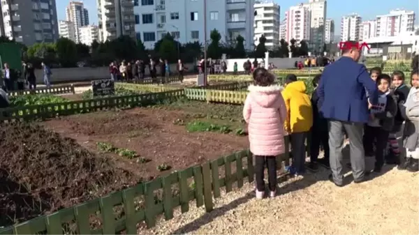 Mersin çocuklar önce ekti sonra hasat etti