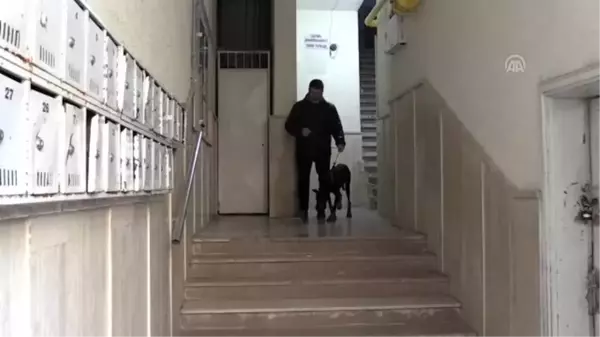 Bakan Pakdemirli'nin sahip çıktığı köpek 