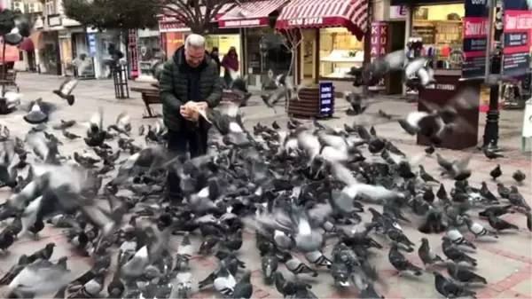 Teknisyen Necdet 10 yıldır Edirne'nin güvercinlerini besliyor