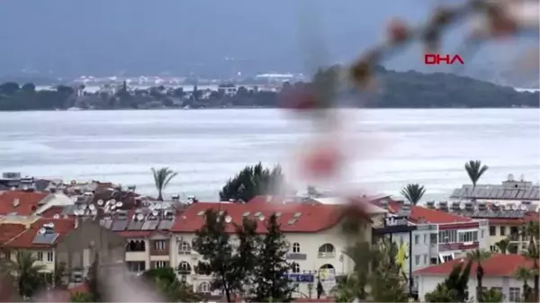 Muğla-fethiye'de badem ağaçları çiçek açtı