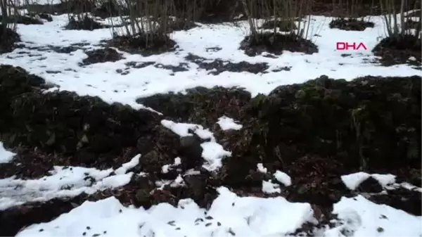 Ordu heyelan nedeniyle 12 binanın tahliye edildiği mahallede, afad incelemesi