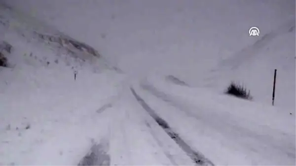 Van'da can güvenliği nedeniyle trafiğe kapatılan yola çığ düştü