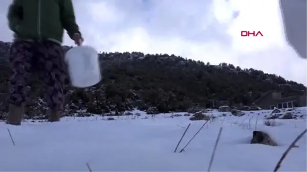 Muğla iki kızıyla yaşan çiftten elektrik ve su talebi